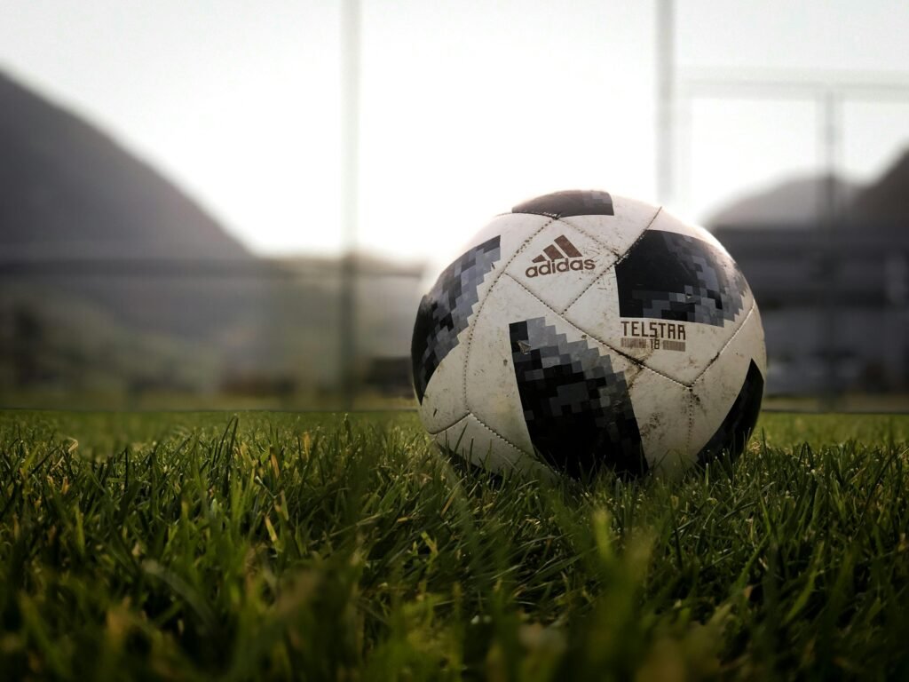 Adidas futsal ball at the court's turf 